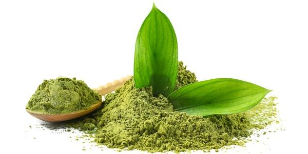 Chá verde emagrece mais que matcha?