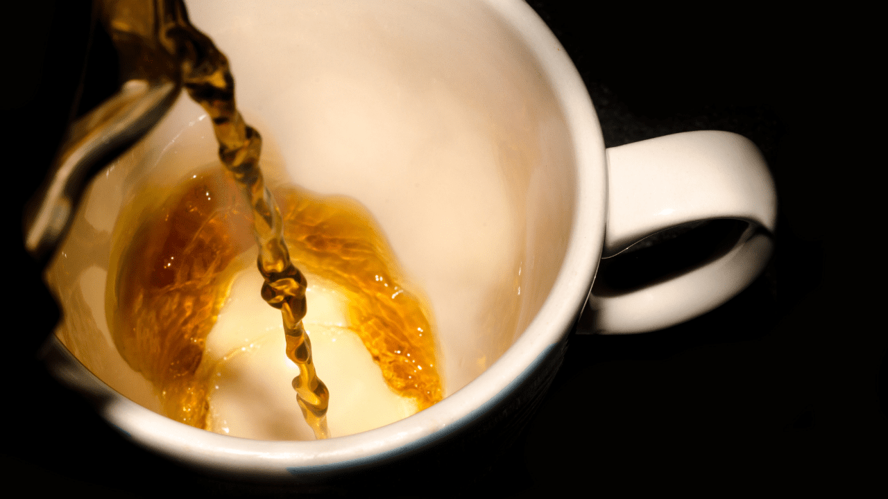 benefícios do chá de boldo