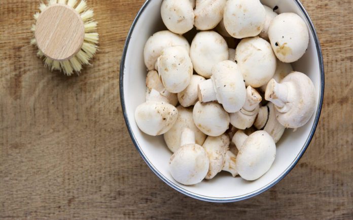 Can You Eat Mushrooms During Pregnancy?