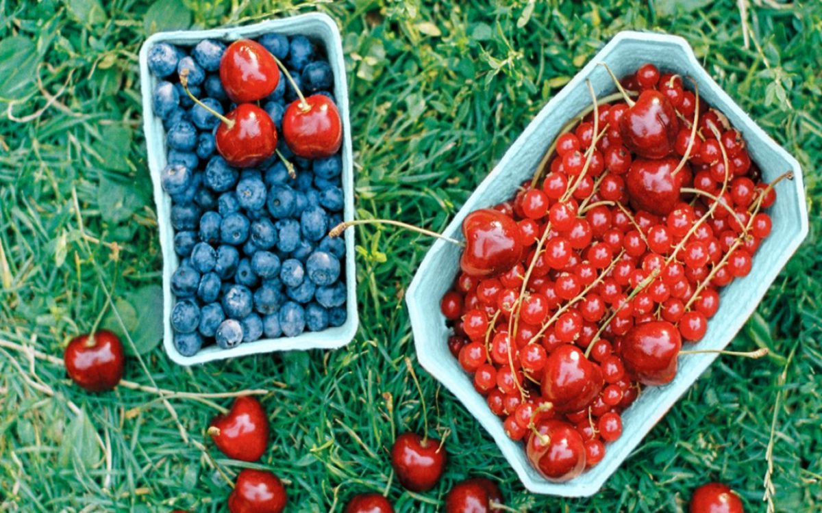 fresh blueberries, cherries, and red currants in boxes on grass
