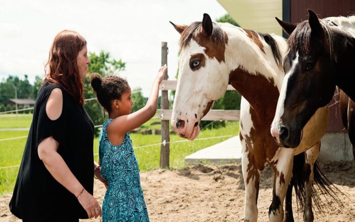 What Is Equine Therapy All About?